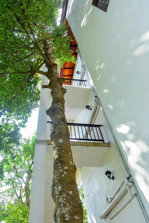 Villa Araliya Hikkaduwa Exterior foto